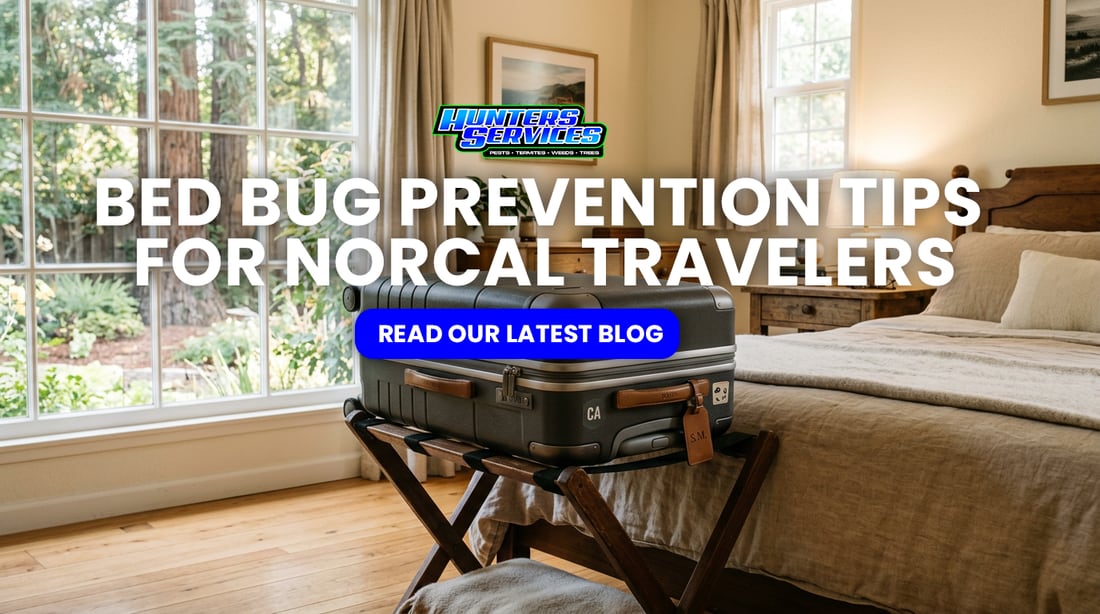 Suitcase resting on a luggage rack in a bright NorCal bedroom, representing bed bug prevention tips from Hunters Services.