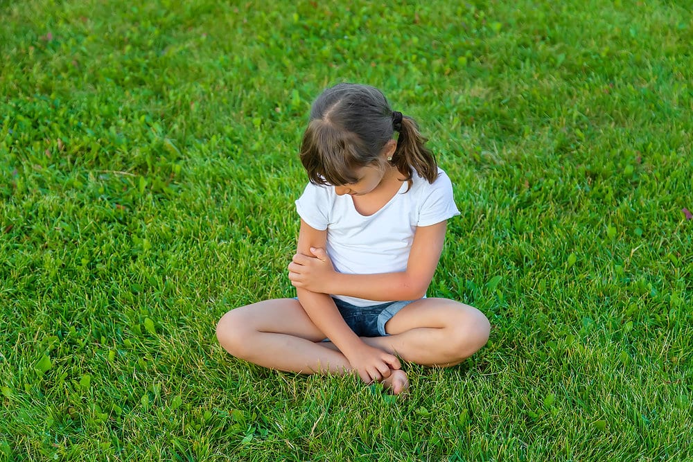 Keeping Mosquitoes at Bay: Exploring Effective Strategies and the In2Care System