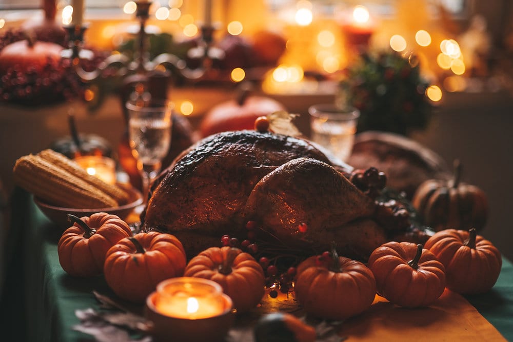 Protecting Your Home from Pests During Thanksgiving: Tips for a Pest-Free Holiday