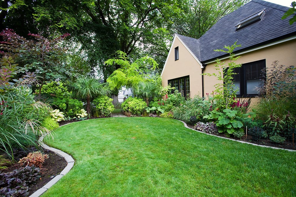 Winter Pest Control: Preparing Your Home for a Cozy and Pest-Free Season